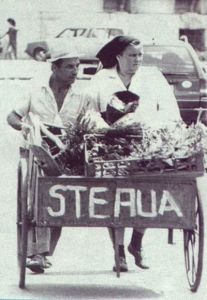 Taraba Steaua